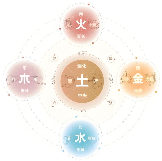 天干与五行的配合关系是？
