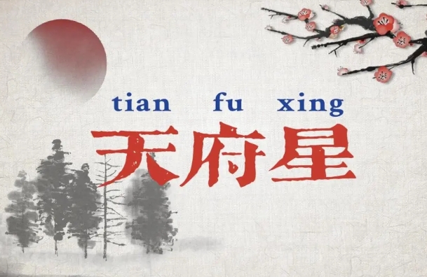 天府星独坐命宫