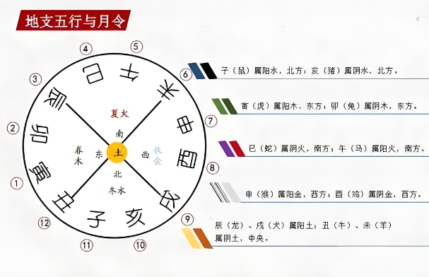 四柱八字月令为什么最重要？