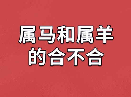 属马男和属羊女可以白头到老吗