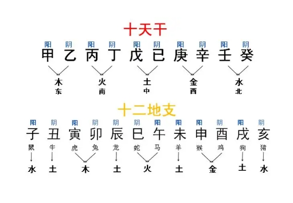 时辰的天干地支如何确定？